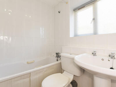 Picture 11